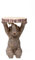 KARE Design Beistelltisch Elefant