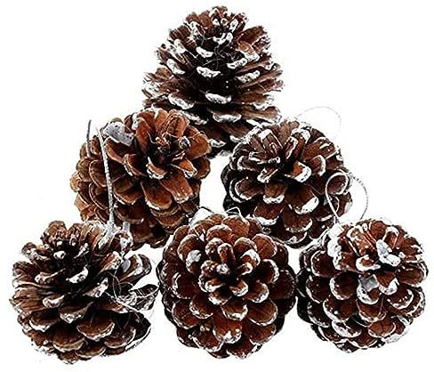 Zmmyuluo Tannenzapfen, 6 Stück, natürliche Tannenzapfen, 5 cm, rustikale Tannenzapfen, Mini-Tannenzapfen, zum Aufhängen, Tannenzapfen mit Schnur für Weihnachten, Erntedankfest, Herbst-Party,