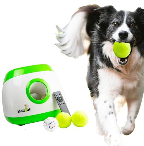 Climsom Automatischer Ballwerfer für Hunde Ballouf Deluxe Inklusive 6 Bälle - 6 Stunden Laufzeit - Inklusive Fernbedienung - 3 Entfernungseinstellungen