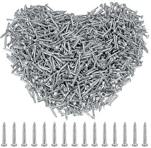 Um3000 chiodi piccoli chiodi, chiodi da parete per appendere quadri, unghie artificiali, testa rotonda, chiodi da parete per cornice, lavorazione del legno, 3 x 10 mm, argento