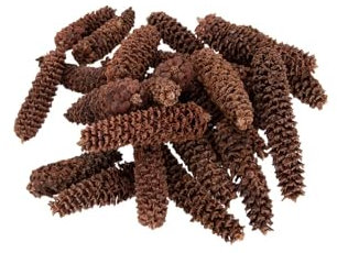 NaDeco Fichtenzapfen, geraspelt, Packung mit ca. 0,5kg, ca. 40-60 STK. | Picea Abies | Zapfen der Rotfichte | Deko-Zapfen | Tannenzapfen | Naturzapfen | Kiefernzapfen | Weihnachtsdeko | Adventsdeko