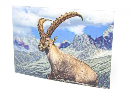 Cornelißen naTierliche Geschenke Cornelissen 3D-Postkarte Steinböcke, Wackelkarte Hologrammkarte, Ansichtskarte und Grußkarte, Tiermotiv, 16 x 11 cm