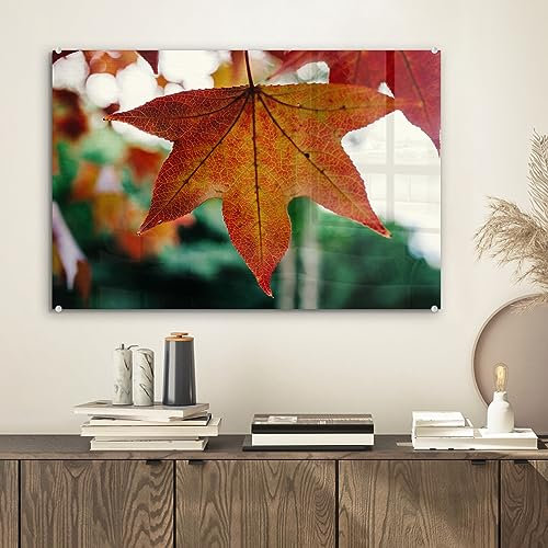 MuchoWow Glasbild Glasfoto Wandbild Bilder Deko 60x40 cm Herbst - Landleben - Blätter - Jahreszeiten - Landleben
