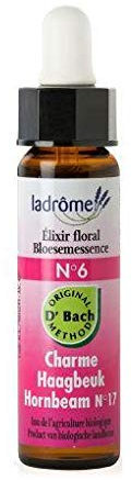Ladrôme Fleurs De Bach Elixir Floral N°6 : Charme Bio 10 ml