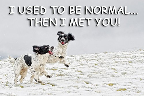 Funny Friendship Fridge Magnet - Perfect Exclusive Birthday Gift for Your Fun Loving Best Friend