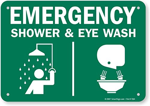 SmartSign - S-4224-PL-10 Emergency Shower & Eye Wash Schild | 17,8 x 25,4 cm Kunststoff grün
