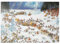 MyPuzzle Napoleon's Winter - Jean-Jacques Loup - Cartoon Classics - Premium 500 Teile Puzzle - MyPuzzle Sonderkollektion von Heye Puzzle