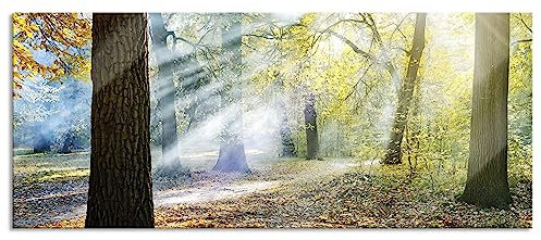 Pixxprint Glasbild Panorama, Wandbild aus Echtglas, Sonnenstrahlen im Wald, 100x40 cm, inkl. Aufhängung und Abstandshalter
