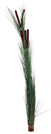 EUROPALMS Schilfgras mit Kolben, künstlich, dunkelgrün, 152cm