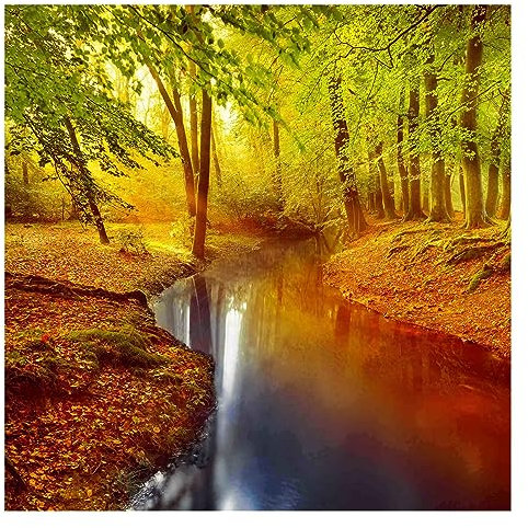 Bilderwelten Fototapete Wald 192 x 192 cm Vlies-Tapete XXL Waldtapete Herbstwald Smart Wandtapete Wanddekoration Wohnzimmer Schlafzimmer