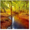 Bilderwelten Fototapete Wald 192 x 192 cm Vlies-Tapete XXL Waldtapete Herbstwald Smart Wandtapete Wanddekoration Wohnzimmer Schlafzimmer