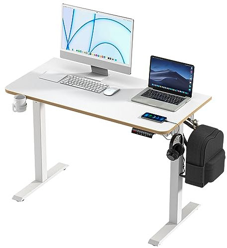 KOWO Schreibtisch Höhenverstellbar Elektrisch 120 * 60cm, Ergonomisches Sitz-Stehpult, Standing Adjustable Desk mit Touchscreen und Integrierten - Weiß Ganzes Brett Stehpulte