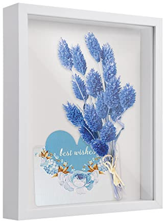 Marcos Con Profundidad Para Colgar En La Pared o Escritorio 27x23cm Marcos De Fotos 3d Profundidad Para Objetos De Hasta 3 Cm Marco De Objeto Rellenable Para Medalla Recuerdo Flor Manualidade, Blanco