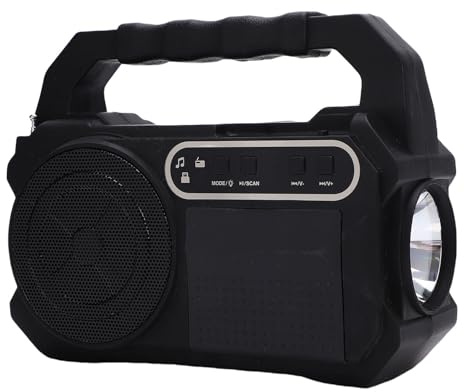 Bewinner Haut-Parleur Bluetooth sans Fil avec Radio FM AM, Charge de Panneau Solaire, Banque d'alimentation de 3600mAh, Lampe de Poche, 3 Ampoules LED pour Extérieur, Camping, Pique-Nique