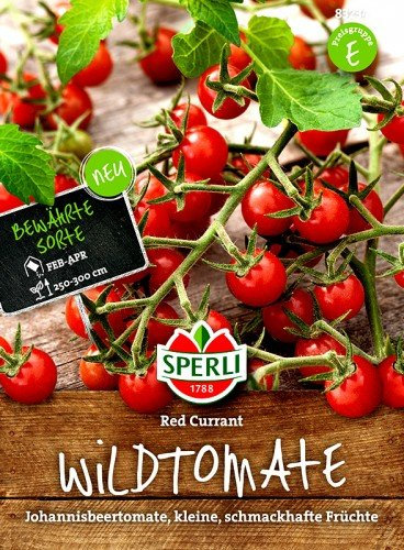 Tomate Rote Johannisbeertomate