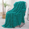 Exclusivo Mezcla Coperta Plaid Pile di Flanella per Divano, 130x170 CM Coperta Letto Singolo con Modello a Foglie, Morbida e Calda, Verde acqua