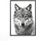 MJ-Graphics - Natur Poster mit Wolf - schwarz weiß Bild | Wandbild Din A4 dickes Posterpapier - FineArt Kunstdruck ohne Bilderrahmen
