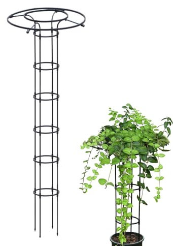 Enrejado vertical de jardín | Enrejado vertical de metal inoxidable para paraguas | Enrejado de paraguas para plantas trepadoras, vides en maceta, verduras, flores, patio para interiores y exteriores