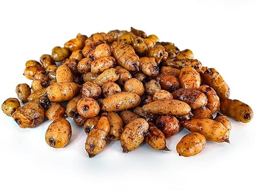 Tijgernotenkopen.nl XXL Tigernüsse Angelfertig 12-35mm 5KG | Karpfenfutter | Tigernuessekaufen.de