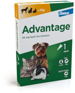 Advantage Spot On Flea Treatment For Cats, Dogs and Rabbits Under 4kg (1 pipette, 40mg), Kills Fleas Within 24 Hours, Prevents Further Infestation For Up To Four Weeks in Cats and Dogs