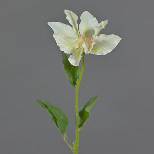 artplants.de Künstliche Blume Clematis JINJIN, Creme, 50 cm - Künstliche Stielblume