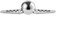 Stainless Steel Coffee Ice Balls, No Dilution, Enhanced Flavor Profile, Dishwasher Safe (Ice Ball and Bracket)