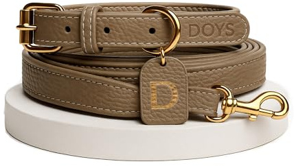 DOYS Hundehalsband Leder – personalisierbares Hundehalsband für kleine & große Hunde, hochwertiges Lederhalsband Hund mit passender Hundeleine Set (Grau Halsband, L)