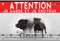 laque Attention au Chien Staffie 20x13cm – Panneau Chien en Dibond 2mm | Idéal Portail, Porte, Jardin | Plaque Attention Chien, Panneau Chien Méchant, Pancarte Chien Garde