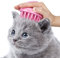CeleMoon Cat Brush with Soft Rubber Pins, Washable Silicone Pet Brushes for Indoor Cats Grooming Shedding Massage Bath, Removes Hair Mats Tangles and Loose Fur for Short to Long Haired