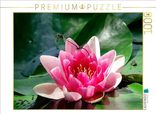 CALVENDO Puzzle Libellen an Einer Seerose | 1000 Teile Lege-Größe 64 x 48 cm Foto-Puzzle für glückliche Stunden
