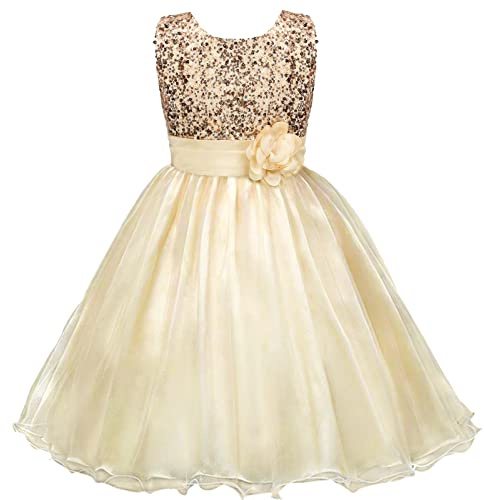Discoball Fille Robe Princesse éclat Voile Fleur fête Anniversaire Mariage Demoiselle d 'Honneur Robe 3-12 Ans