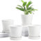 Buymax Lot de 4 Pots de Fleurs d'intérieur en céramique de 12,7 cm avec Trou de Drainage et Plateau en céramique – Jardinage, Maison, Bureau, Rebord de fenêtre, décoration, Cadeau, Plantes Non