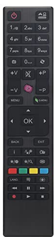 VINABTY Nuovo RC4876 30088184 Telecomando di ricambio RC4876 Telecomando per Kendo LED 42FHD161 per HITACHI 32HE1610FTR per BUSH DLED40287FHD DLED48287FHD 32278HDDVDB per FINLUX per LINSAR Remote
