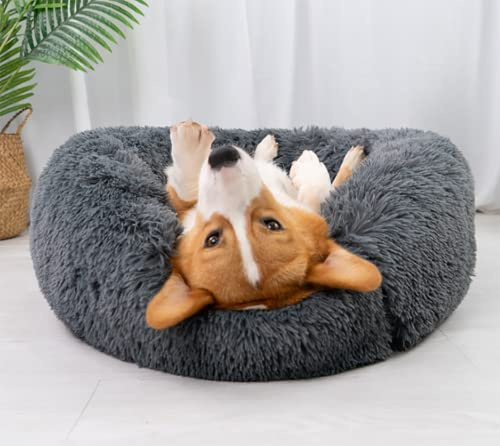 Fhodigogo Donut Hundebett für Kleine Hunde und Katzen - Rundes Katzenbett mit Katzendecke (55CM)
