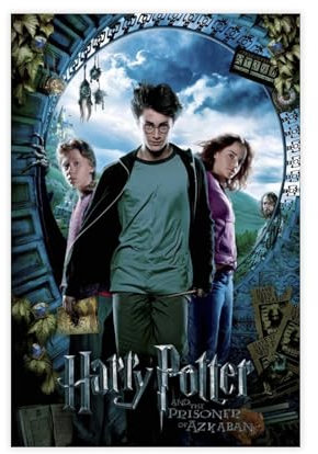 NFJUVX Poster Harry Potter (24) sur toile pour décoration de chambre à coucher, bureau, chambre, cadeau, sans cadre, 30 x 45 cm