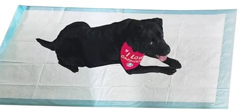 EXTRA LARGE PUPPY PADS XXL 160CM TRAINING TOILET PEE WEE MATS FLOOR TRAINER MEDIUM TO XL DOG TRAIN PET JUMBO ANTI CLIP PROTECTION PROTECTOR SHEET SUPER ABSORBENT HEAVY DUTY MAT
