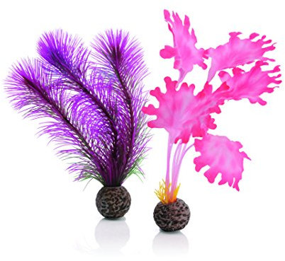 biOrb 46081 Seetang Set S pink - Aquariumdekoration, zwei Wasserpflanzen zur Einrichtung von Süßwasseraquarien und Meerwasseraquarien