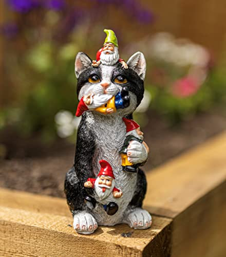 Garden Mile Harz Zwerg Fressende Katze Bunte Gartenornamente Outdoor Indoor Dekoration für Zuhause Terrasse Terrassendielen Teich Blumenbeet Stehend Neuheit Wetterfest Kätzchen Katze Statue