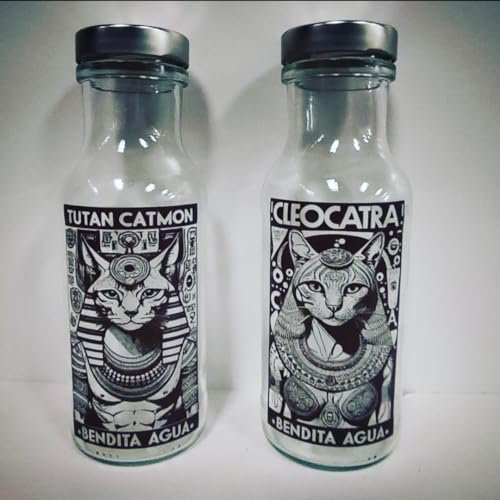 Bouteille d'eau en verre pour enfants et personnes âgées. Lot de 2 bouteilles. Capacité 785 ml. Style chats. Bouchon en aluminium.