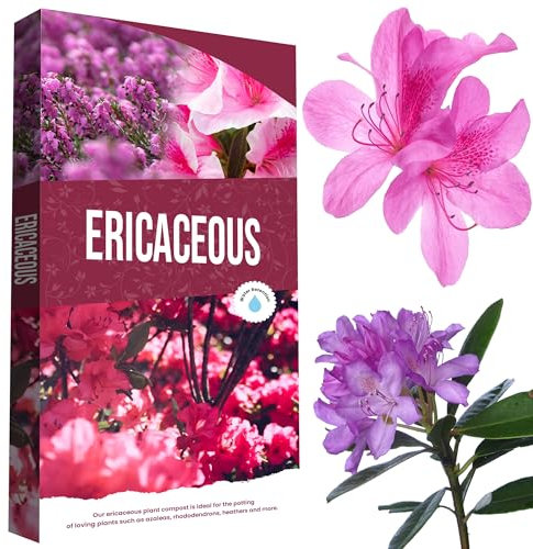 20 Litres Ericaceous Special Formula Plant Soil Grow Camellia, Azalea, Rhododendron & Heather (40 Litre (2 x 20 Litre Bags))