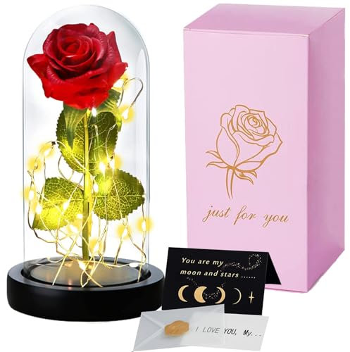 HOTOIQ Ewige Rose Geschenke für Frauen,Rose im Glas,Muttertagsgeschenke für Mama,Ewige Blume im Glas,Infinity Rosen Geschenk für Freundin Geburtstag zum Jahrestag/Valentinstag/Geburstag/Hochzeit