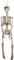 Boland 74368 - Deko Skelett, 92 cm, Hängedeko, Dekoration für Mottoparty, Halloween und Dia de Los Muertos