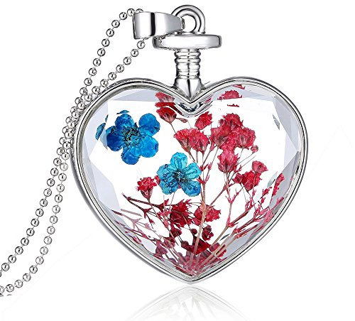 Feilok Klassik Herz-Form Blau und Rot Trockene Blumen Transparente Kristall Damen Länge Kette Anhänger Halskette…