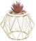 Sleepdown Halo Deep Purple Succulent Artificial Faux Plant Gold Cage Stand for Home Office Bathroom Decor Indoor Decoration Aesthetics