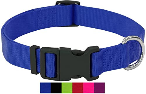 DEY - Premium Hundehalsband Nylon | Verstellbar | für Kleine u. Große Hunde | viele Farben u. Größen | Hund Katze Welpe | Hunde-Halsbänder | Katzen-Halsband | Welpen-Halsband | Blau, M