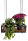 YELLOO - Etagere de Plafond Suspendue avec Chaînes, Idéale Porte-Fleurs, Plantes d'Intérieur et d'Extérieur, Design Classique et élégant pour Maison, Jardin, Balcon (FLOWERS 55 cm, Marron/Noix)