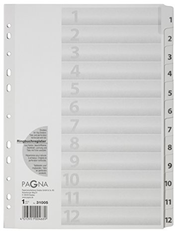 Pagna 31005-08 Register 1-12, A4, 12-teilig, weiß