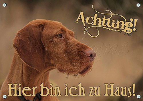 Petsigns Warnschild aus Metall - Magyar Vizsla -hochwertiges Hundeschild mit Fotodruck, DIN A5