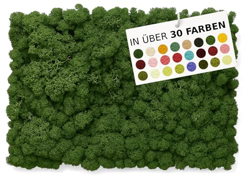 NaDeco Islandmoos in Natur und 30 weiteren Farben zur Auswahl | Deko-Moos | Rentier-Moos | Reendier Moos | Bastel-Moos | Dekomoos | Moos-Deko