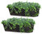 SG Traders Set of 2 Window Box Rattan Flower Troughs Plant Pot Garden Patio Balcony Terrace Box Plastic Flowerpot Balcony Boxes Rattan Planters Perfect for the Balcony, Windowsill, L-53 x H-14 cm